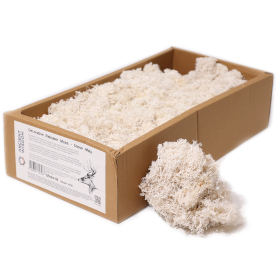 1x Musgo Decorativo - Blanco - (aprox. 500g)