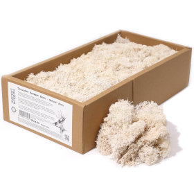 1x Musgo Decorativo - Natural - (aprox. 500g)