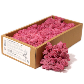 1x Musgo Decorativo - Rosa - (aprox. 500g)