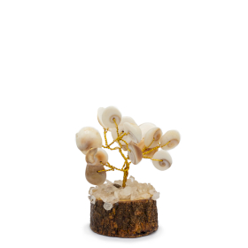 12x Pequeño Gomati Chakra Árboles de Piedra Círculo con Rudraksha - (15 piedras)